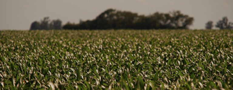 Establecimientos agropecuarios
